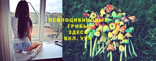наркотики Каменка