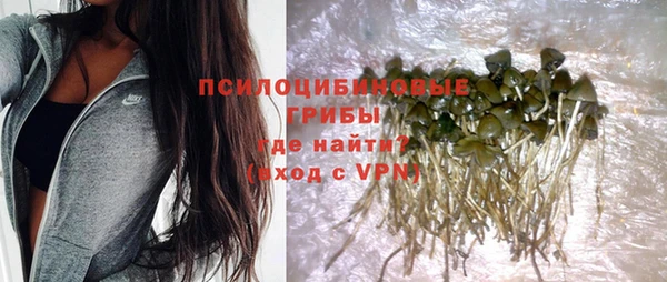 кокаин перу Богданович
