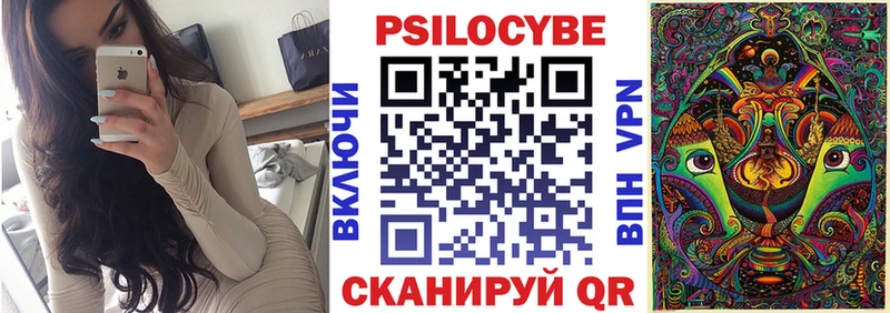 блэк спрут ссылки  Киржач  Псилоцибиновые грибы прущие грибы 